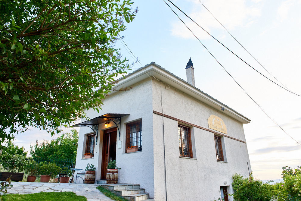 Triantafillies Guesthouse Portaria  Ngoại thất bức ảnh