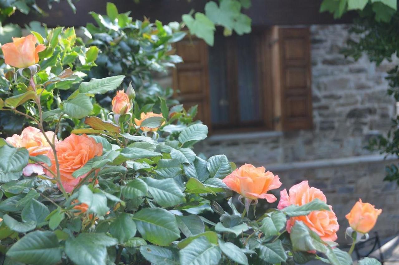 Triantafillies Guesthouse Portaria  Ngoại thất bức ảnh